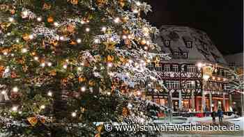 Eisbahn  und   Co.: Nagold bietet  zum  Winter das volle Programm