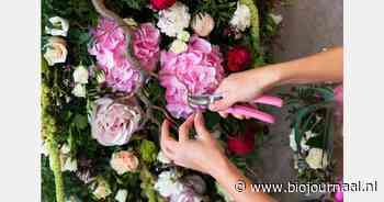 Onvoldoende steun voor 'bio-bloemenvoorstel' in gemeente Leiden