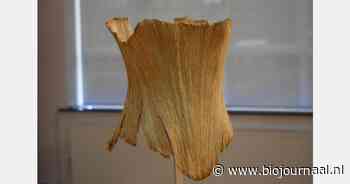 Kunstenaar Chiel Lubbers maakt korset van bleekselderijvezels