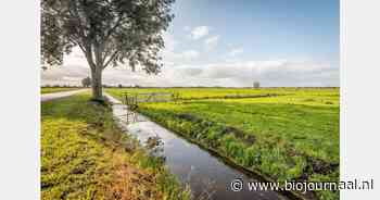 Webinar Ecologisch maaien: dinsdag 26 november