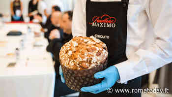 Panettone Maximo
