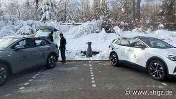 E-Mobilität: Warum das Hearts Hotel elektrische VWs fährt