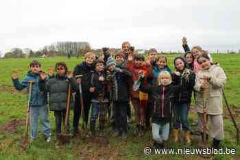Gaverse leerlingen planten 3.000 bomen aan voor nieuw bos: “Ons doel om per inwoner een boom aan te planten, is geslaagd”