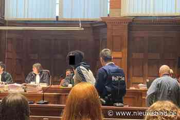 Verkrachter van 69-jarige vrouw krijgt 6 jaar cel