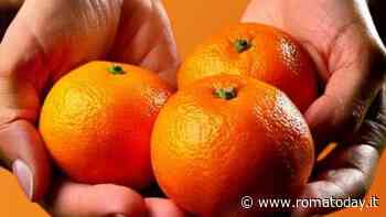 Le clementine anti-violenza a Roma