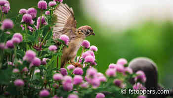 Three Tips to Instantly Improve Your Photos