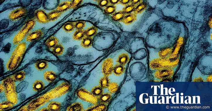 Bird flu in Canada may have mutated to become more transmissible to humans