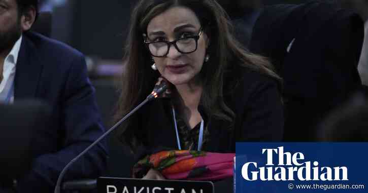 Cop29: ‘We’re here for life and death reasons,’ says ex-climate minister of Pakistan