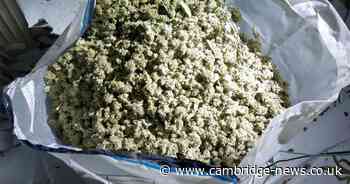 Police find cannabis farm whilst recovering stolen power tools and trailers