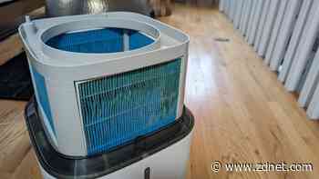 I've tried every type of humidifier, and this Levoit model rules them all