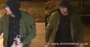 Police appeal to find man over vehicle break-in in South Shields