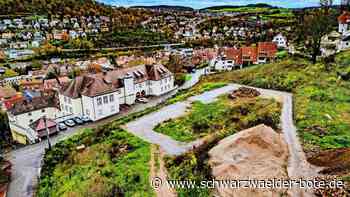 Gelände liegt brach: Am Calwer Akademie-Areal tut sich nichts – oder?