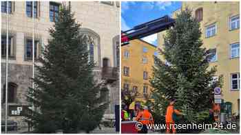 In Wasserburg weihnachtet es: So hoch sind die Christbäume der Stadt