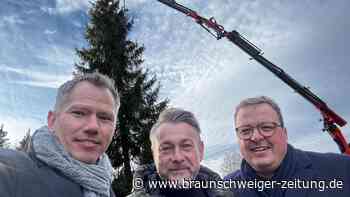 Der weite Weg bis Wolfenbüttel: Die Friedenstanne ist da