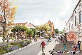 Bushalte langs de snelweg, twee nieuwe bruggen en parking aan andere kant: deelgemeente ondergaat metamorfose