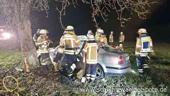 Unfall bei Nagold-Mindersbach: Fahrer muss aus Auto befreit werden