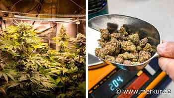 „Industrie-Hotspot“ in Gefahr: Cannabis-Clubs warnen vor CDU-Plänen