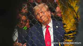 Geen cel of huisarrest voor Trump in zwijggeldzaak: 'President viert feest'