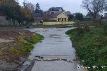 Berwijn, Voer en Veurs bereiken waakpeil door aanhoudende regen, maar blijven binnen oevers