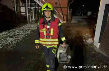 FW Flotwedel: Möglicher Kohlenmonoxidaustritt - Feuerwehr rettet zwei Katzen