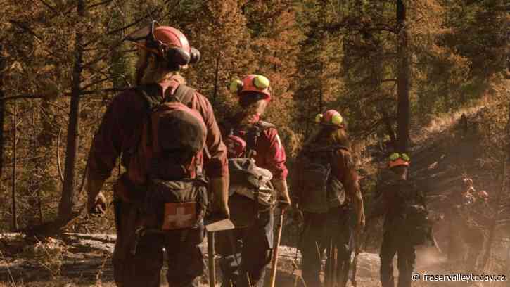 B.C. Wildfire Service to hold hiring webinar this week as it gears up for 2025