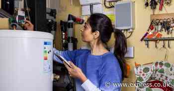 'I'm an expert - this £20 hack can save you hundreds of pounds on your heating bills'