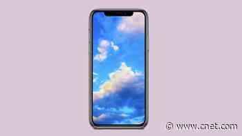 Bluesky Explained: Why This Social Media Network Has 20 Million Users and Is Growing