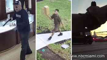 90 minutes of terror: Armed robbery leads to police shootout, 4 dead, 4 officers charged with manslaughter