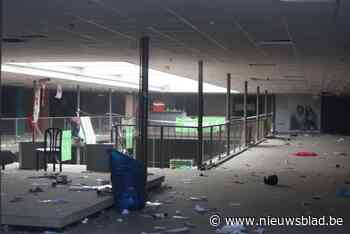 Dichte bossen en veel verlaten bedrijven: “Limburg is het Walhalla voor illegale ravers”