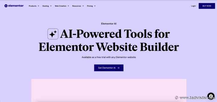 Elementor website builder review 2024