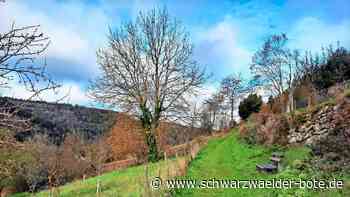 Große Rodung in Calmbach: Gepflegte Landschaft steigert Erholungswert