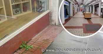 Once-bustling shopping centre now in "dreadful" state with weeds and leaky roof