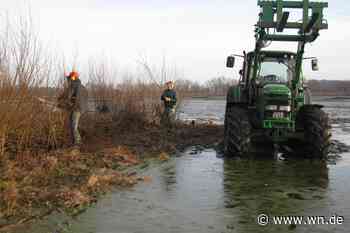 Künstliche Ebbe für die nächste Brutsaison