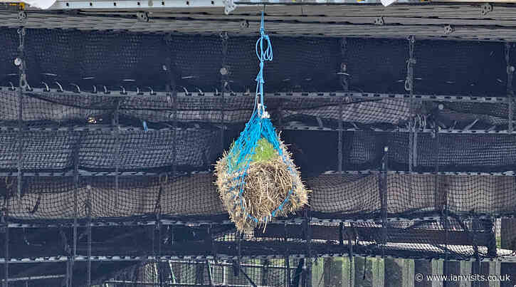 Ancient London law requires a bale of hay to hang from a road bridge