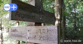 Ärger um Mountainbiken im Deister: Wanderer wollen nicht unter die Räder kommen