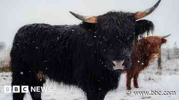 Schools close amid first snowfall of winter