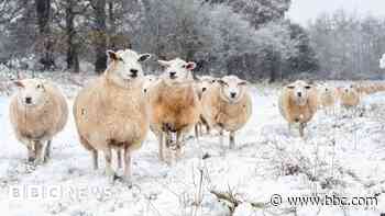 West Watch: Snow arrives in the West Country