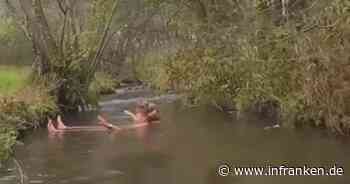 Fränkische Schweiz: Deutscher TV-Star geht im Affterbach baden
