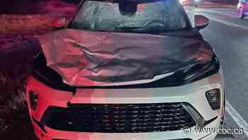 Saskatchewan had 5 moose-vehicle collisions in less than 30 minutes. What's going on?