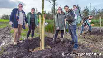 Negen nieuwe bomen in geboortebos voor pasgeboren Gouwenaars: ‘We willen dat ze opgroeit in contact met de natuur’