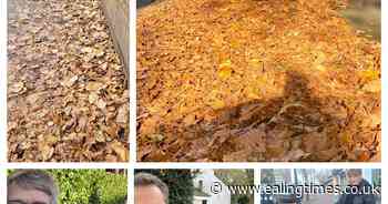 Ealing Lib Dems lead petition to clear borough's streets