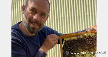 Biodynamische Odin imkerij onderzoekt effecten van straling op bijen