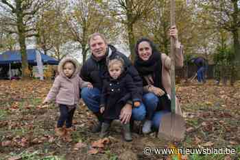 Tweede plantactie voor geboortebos