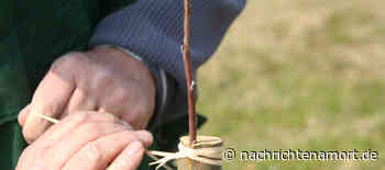 Apfel- und Birnenreiser vom Obstparadies Bamberger Land
