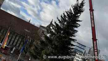 Weihnachtsbaum wird vor dem Neu-Ulmer Rathaus aufgestellt