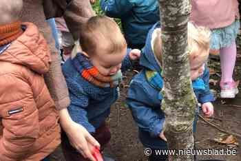 Winterlinde symboliseert 109 Vosselaarse kindjes uit 2023