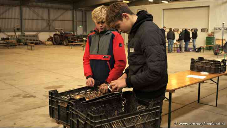 Dronten - MBO-studenten strijden tegen elkaar op de Akkerbouw Challenge