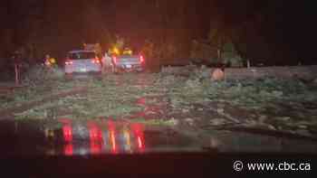 Tens of thousands without power, ferries cancelled after 'bomb cyclone' batters B.C. coast