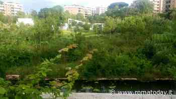 L'ex Punto verde qualità è una palude: urge una bonifica