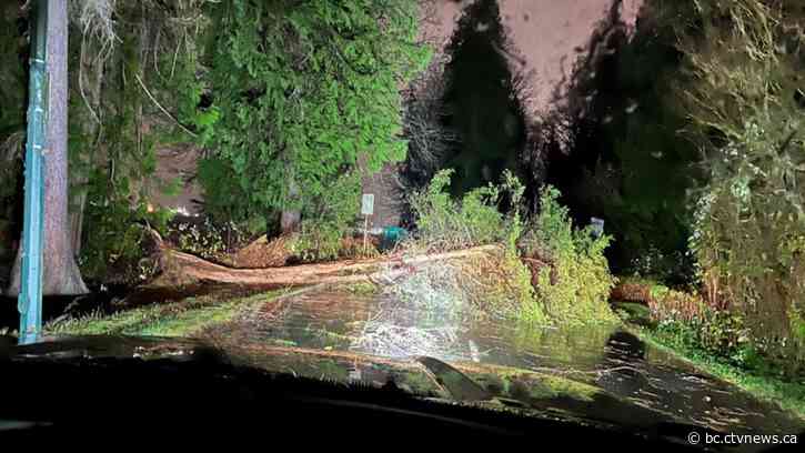 'Bomb cyclone' batters B.C. coast with hurricane-force winds, downing trees onto roads and vehicles